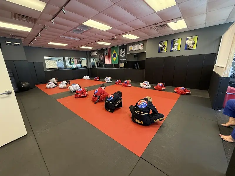 Global Martial Arts Center USA BJJ Academy - photo 2