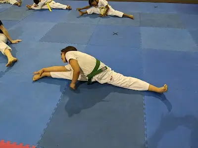 Global Taekwondo Center BJJ Academy - photo 4