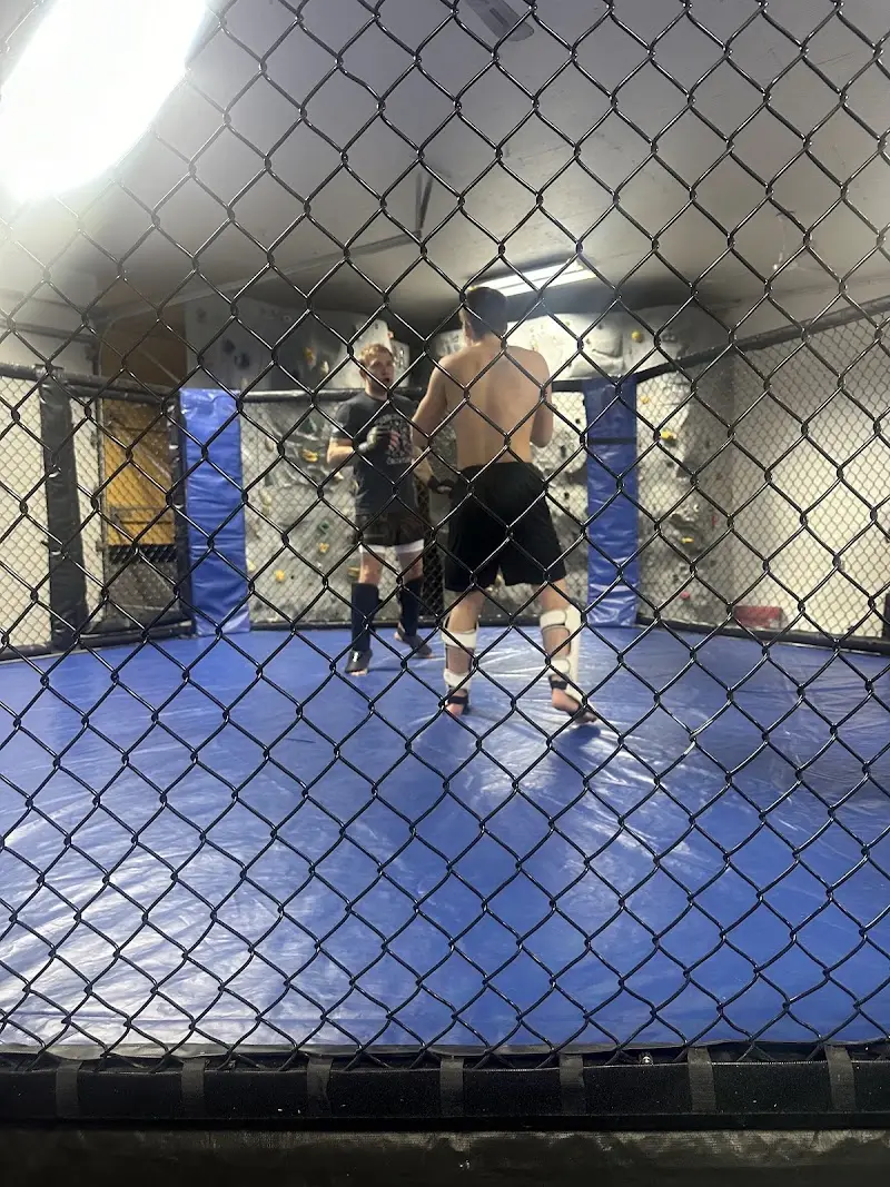 Gnosis Combat Sports BJJ Academy - photo 2