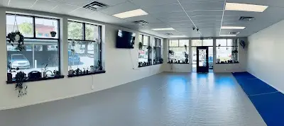 Golden Jiu Jitsu BJJ Academy - photo 2