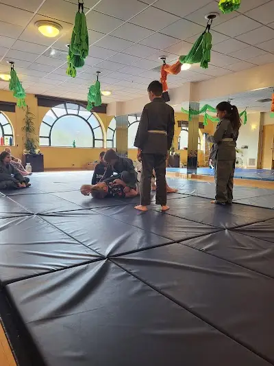 Golden Jiu Jitsu BJJ Academy - photo 4