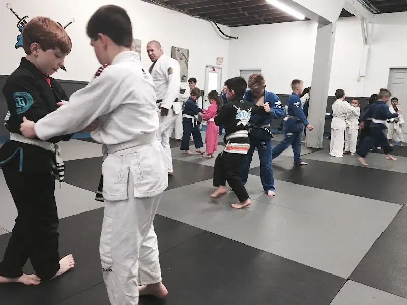 Golden Triangle Jiu-jitsu Academy BJJ Academy - photo 1