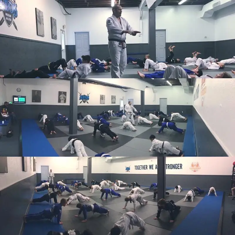Golden Triangle Jiu-jitsu Academy BJJ Academy - photo 2
