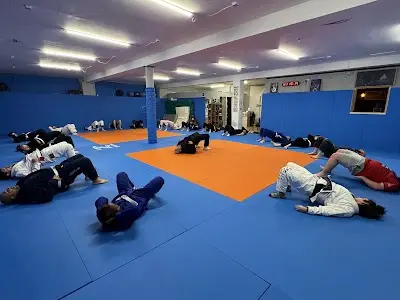 Gorey Grappling Academy BJJ Academy - photo 1