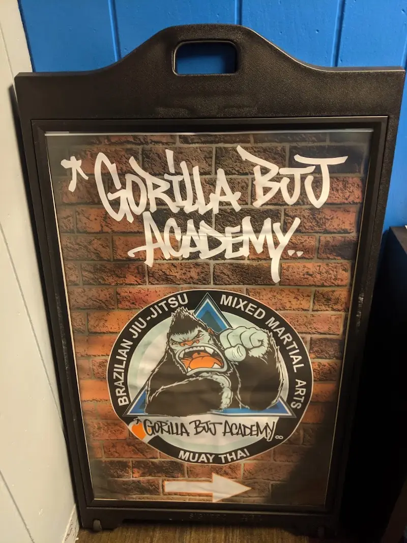 Gorilla BJJ Academy BJJ Academy - photo 2