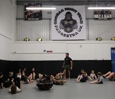 Gorilla Fight Team