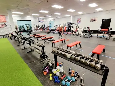 Gotham Gym/ Savage MMA and Fitness LLC BJJ Academy - photo 1