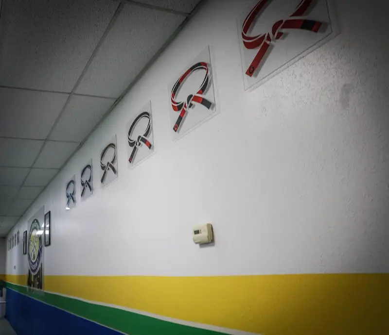 Gracie Academy Brazilian Jiu Jitsu BJJ Academy - photo 1