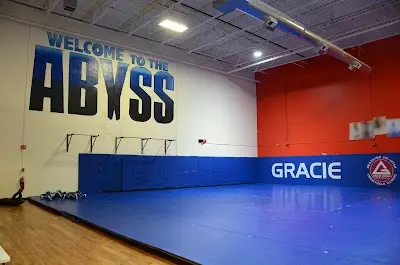 Gracie Barra Brazilian Jiu Jitsu And Fitness Libertyville BJJ Academy - photo 1