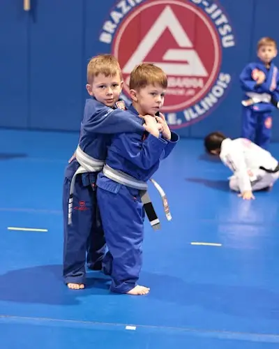 Gracie Barra Brazilian Jiu Jitsu And Fitness Libertyville BJJ Academy - photo 2