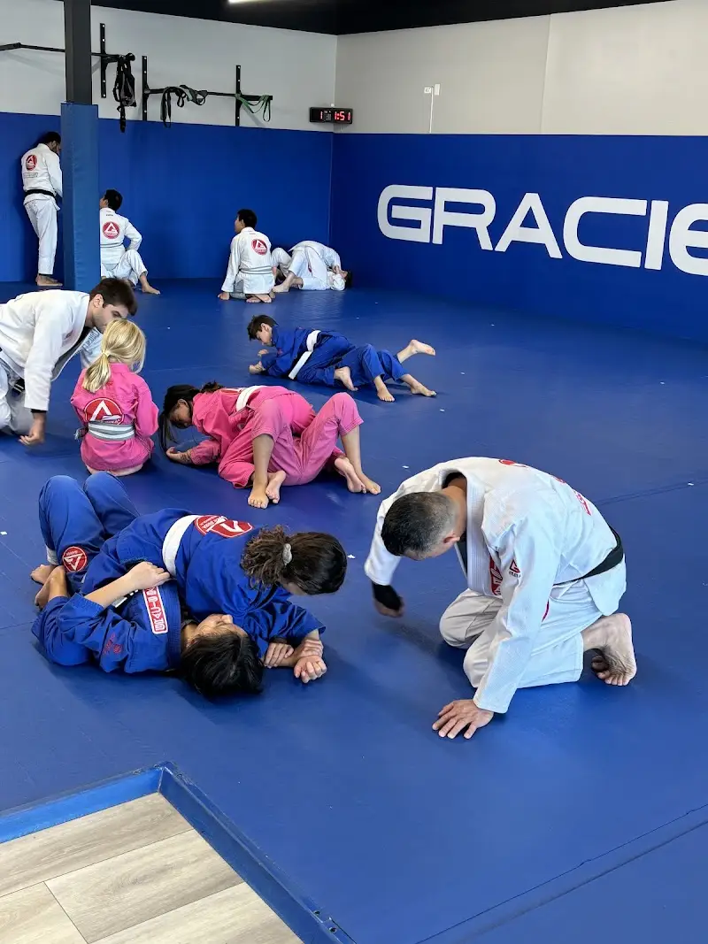 Gracie Barra Brazilian Jiu-Jitsu & Self Defense BJJ Academy - photo 2