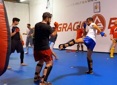 Gracie Barra Burton Jiu-Jitsu and Muay-thai BJJ Academy - photo 1