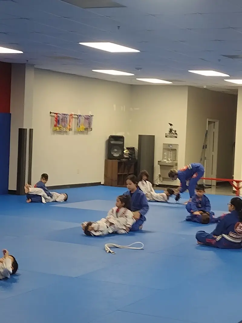 Gracie Barra Copperfield BJJ Academy - photo 2