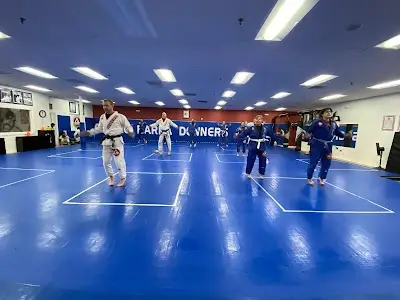 Gracie Barra Downers Grove BJJ Academy - photo 1