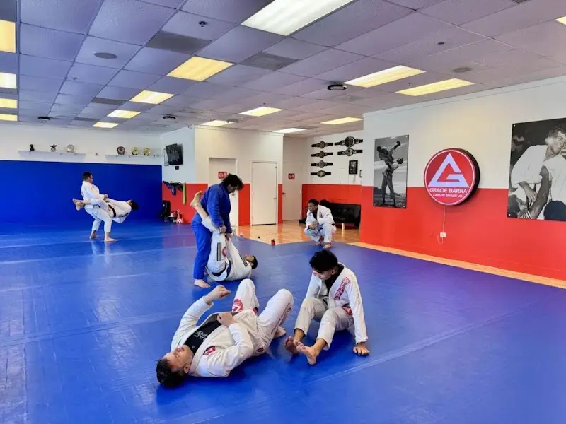 Gracie Barra East Naperville BJJ Academy - photo 1
