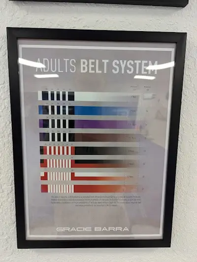 Gracie Barra Jiu Jitsu in Lutz FL BJJ Academy - photo 2