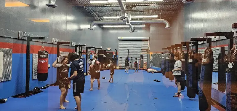 Gracie Barra BJJ Academy - photo 2
