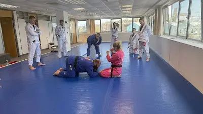 Gracie Barra Lincoln