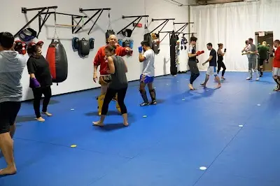 Gracie Barra Novi