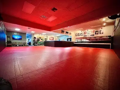 Gracie Downtown BJJ Academy - photo 2