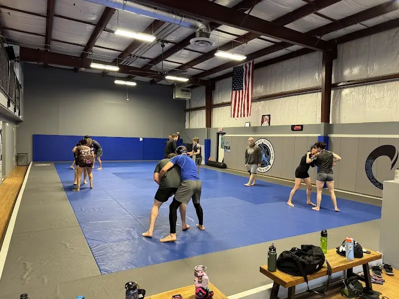Gracie Farmington Valley BJJ Academy - photo 1