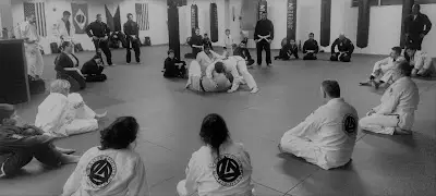 Gracie Fighter Jiu-jitsu at The Martial Arts Zone BJJ Academy - photo 1