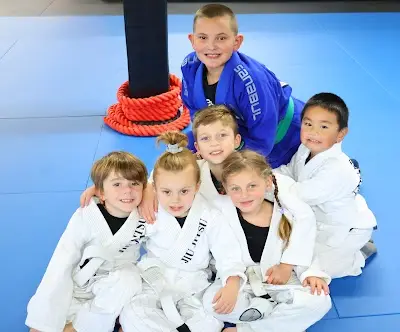 Gracie Fighter Jiu-jitsu at The Martial Arts Zone BJJ Academy - photo 3