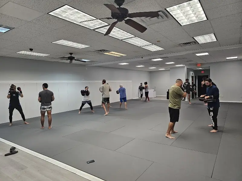 Gracie Hernando BJJ Academy - photo 1