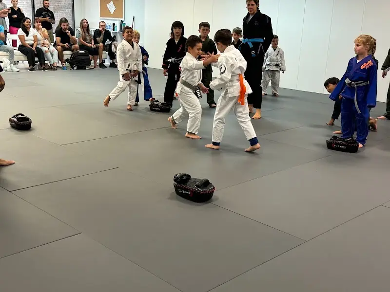 Gracie Hernando BJJ Academy - photo 2