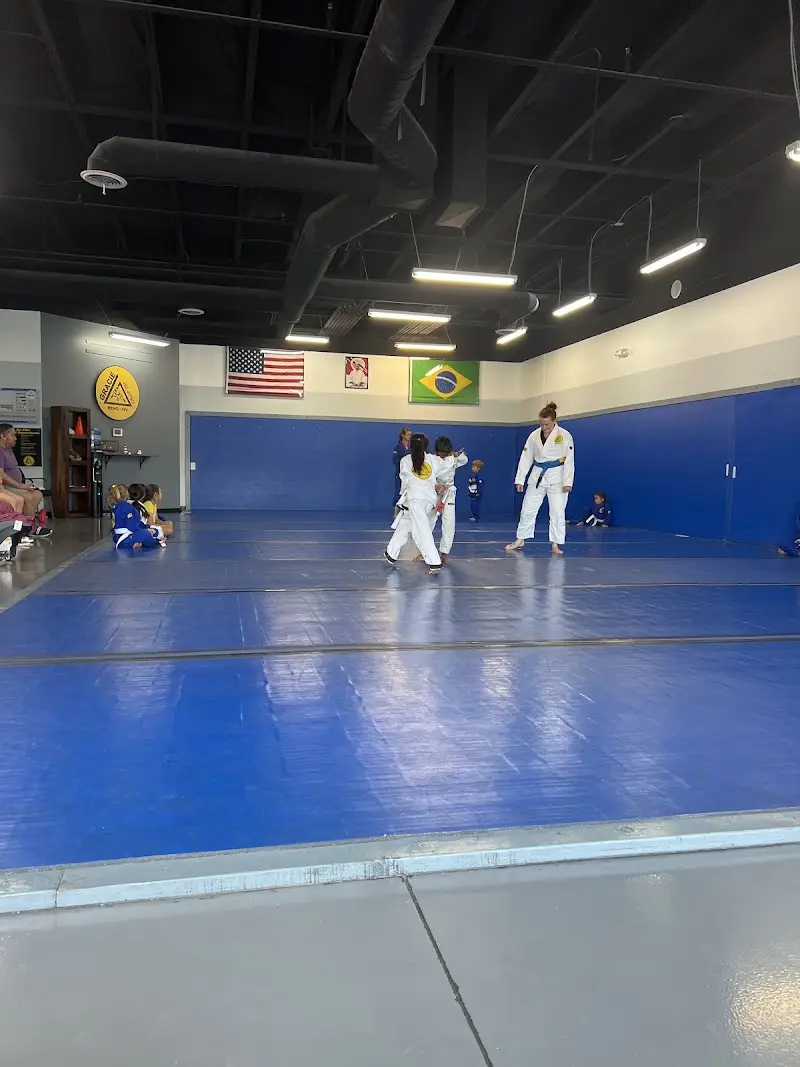 Gracie Humaita Brazilian Jiu Jitsu Reno BJJ Academy - photo 2