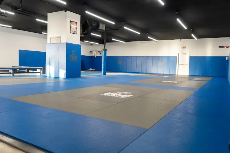Gracie Humaitá Columbia Brazilian Jiujitsu BJJ Academy - photo 1