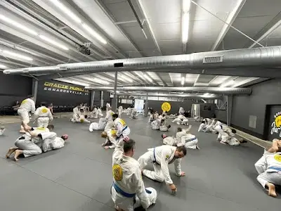 Gracie Humaita Edwardsville, IL