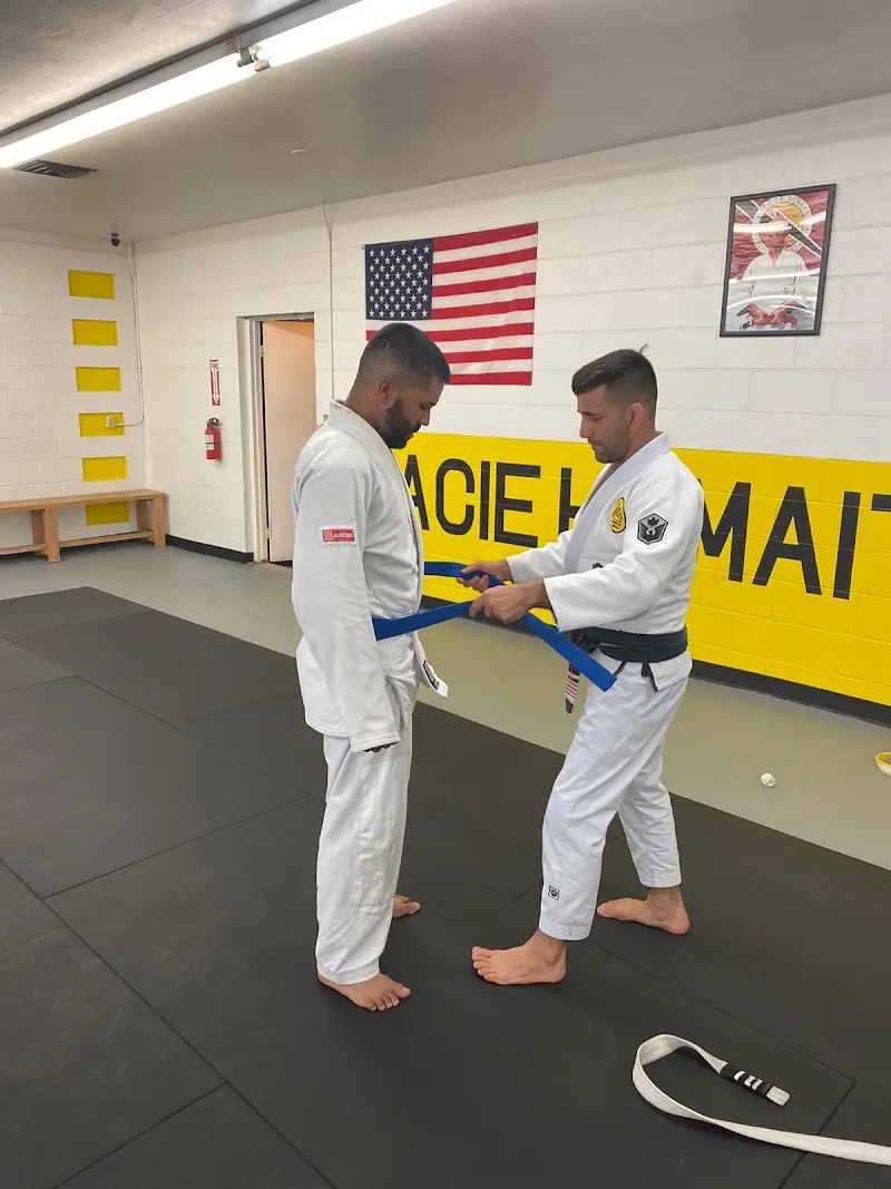 Gracie Humaita Hemet BJJ Academy - photo 1