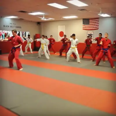 GRACIE JIU-JITSU ATHENS at American Black Belt Academy BJJ Academy - photo 2