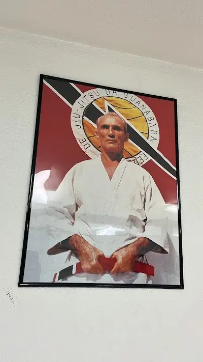 Gracie Jiu-Jitsu Belgrade BJJ Academy - photo 2