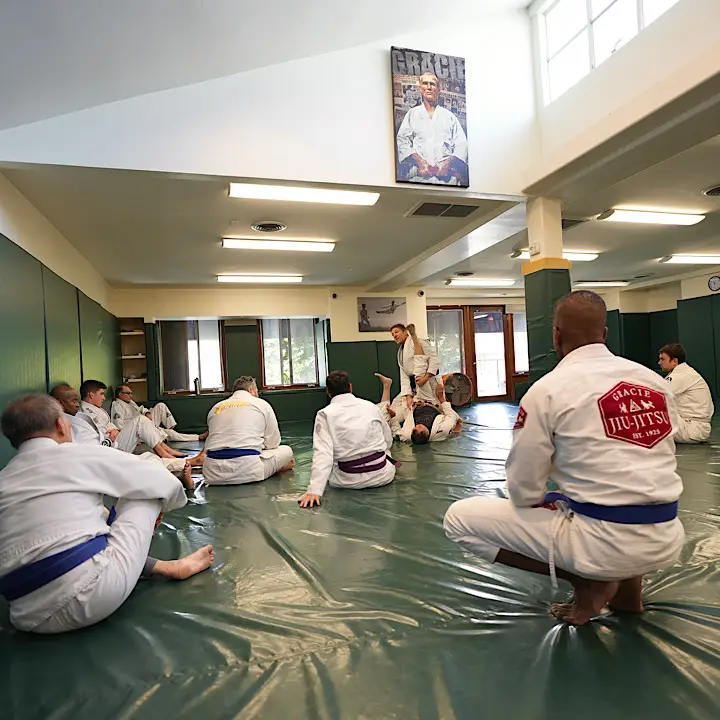 Gracie Jiu Jitsu Beverly Hills BJJ Academy - photo 1