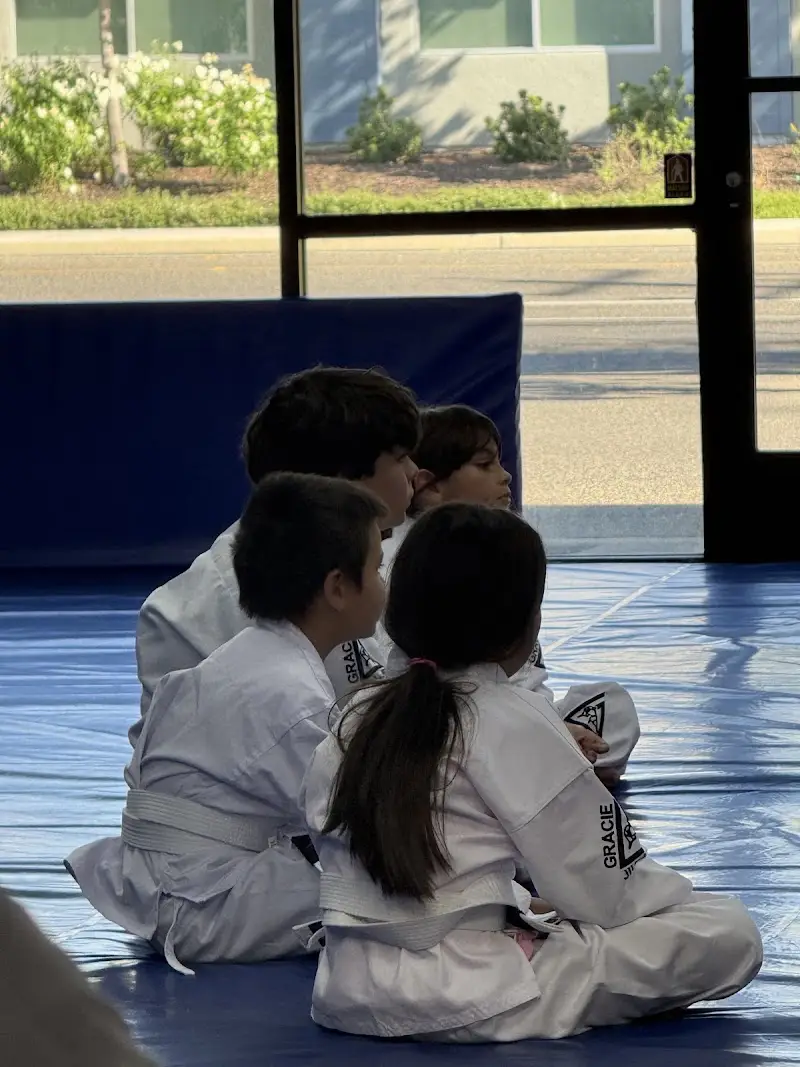 Gracie Jiu-Jitsu Clovis BJJ Academy - photo 2