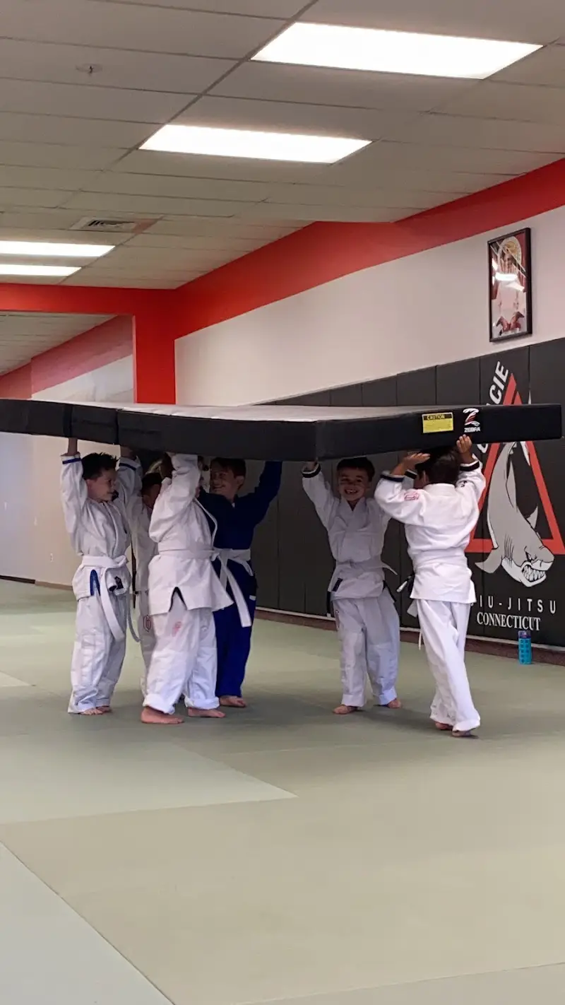 Gracie Jiu-Jitsu Connecticut BJJ Academy - photo 2