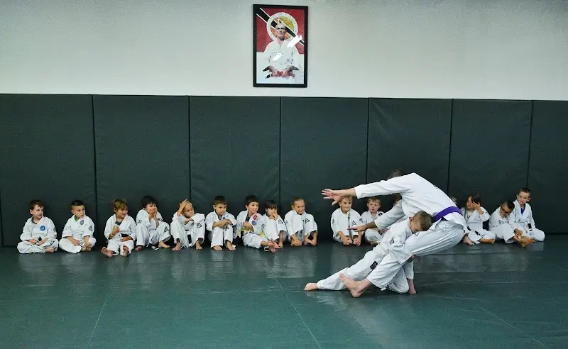 Gracie Jiu-Jitsu Harrison BJJ Academy - photo 1
