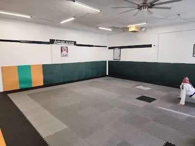 Gracie Jiu-Jitsu LebanonIN BJJ Academy - photo 1