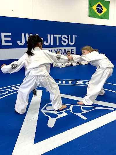 Gracie Jiu-Jitsu Lilydale