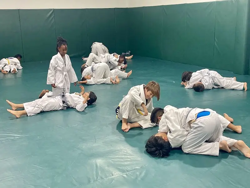 Gracie Jiu-Jitsu Mayde Creek BJJ Academy - photo 2