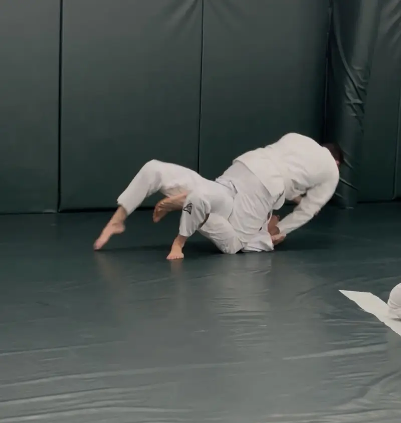 Gracie Jiu Jitsu Pineland BJJ Academy - photo 2