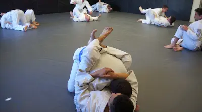 Gracie Jiu Jitsu Santa Cruz BJJ Academy - photo 4
