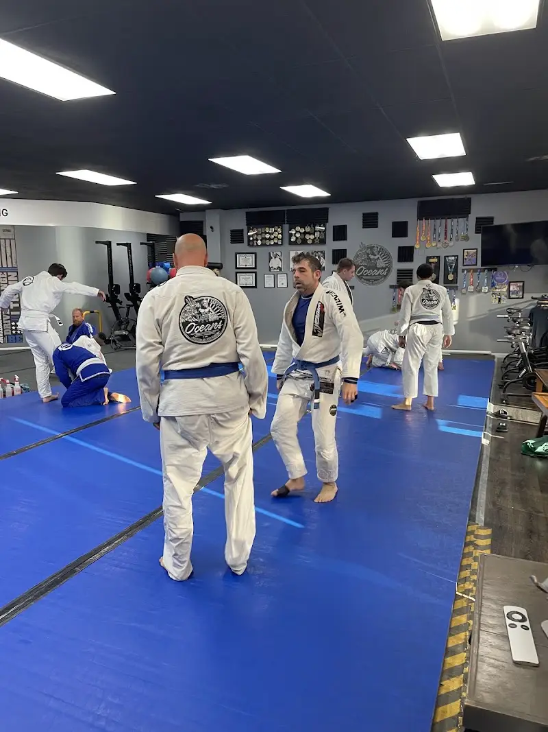 Gracie Jiu-Jitsu St Pete / Gracie Humaita St Petersburg BJJ Academy - photo 1