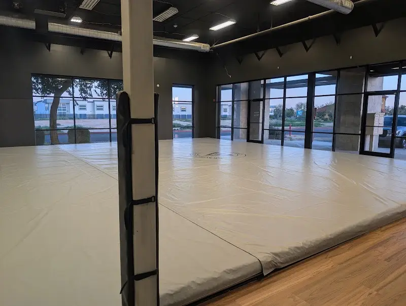 Gracie Jiu Jitsu Suprise BJJ Academy - photo 1