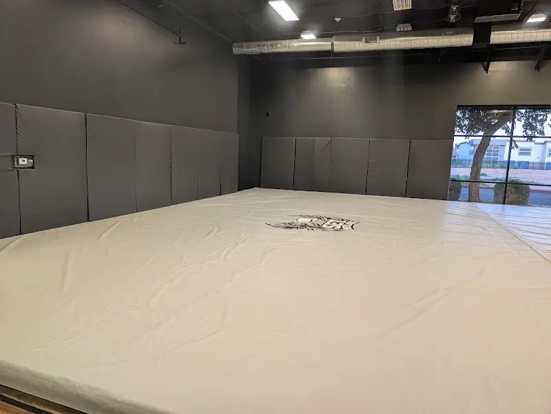 Gracie Jiu Jitsu Suprise BJJ Academy - photo 2