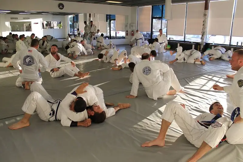gracie jiu-jitsu @ the wash BJJ Academy - photo 2