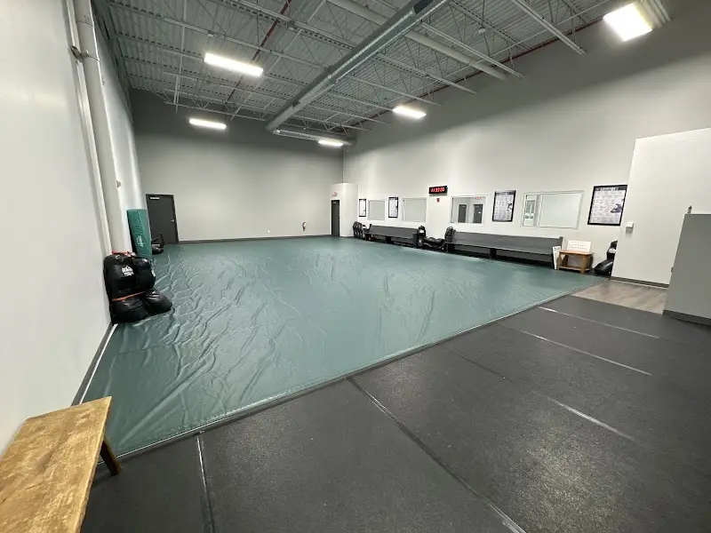 Gracie Jiu-Jitsu Victor BJJ Academy - photo 1