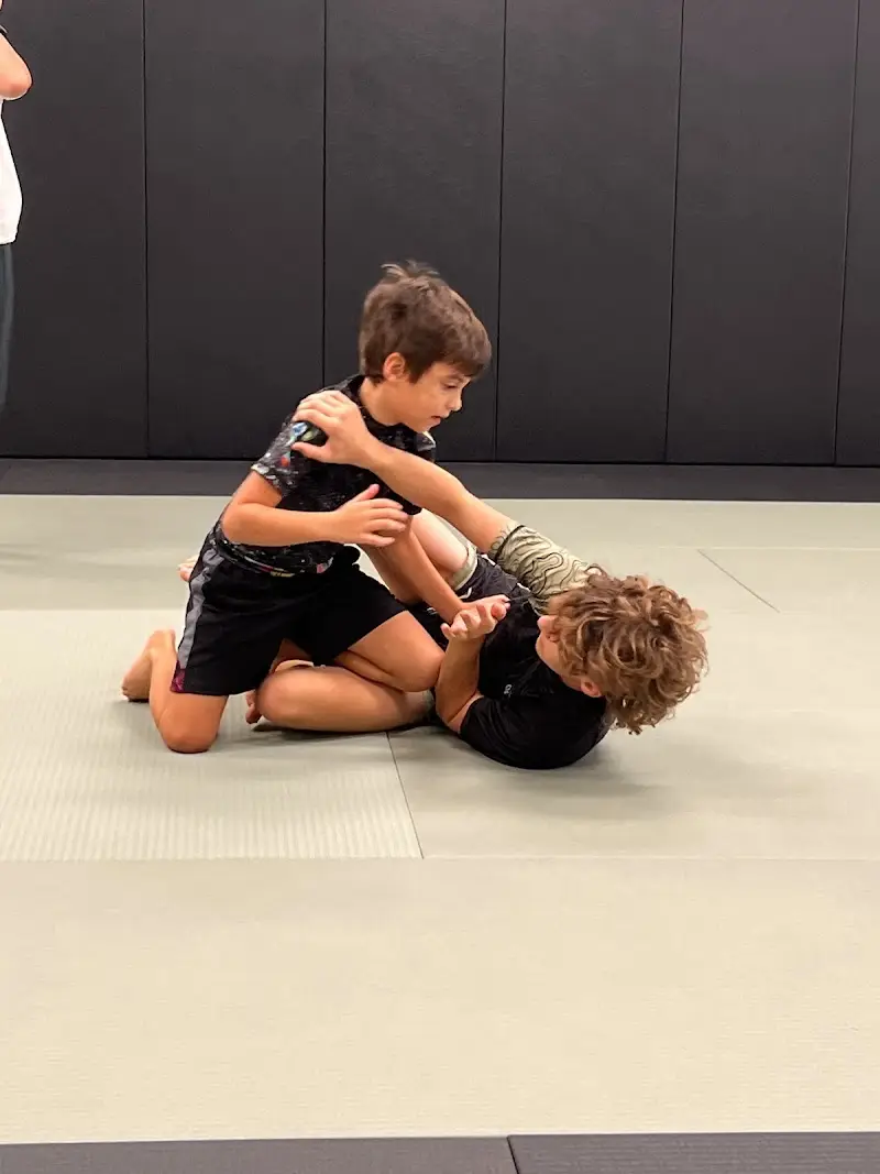 Gracie Litchfield Hills BJJ Academy - photo 1